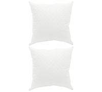 vidaXL Almohada Fulda 2 uds. 65 x 65 cm 100% Plumón y Plumas de Ganso