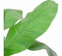 vidaXL Árbol de plátano artificial, 9 hojas, 120 cm, color verde