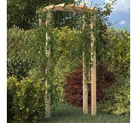 vidaXL Arco con enrejado madera maciza de pino impregnada 110x60x210cm