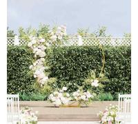 vidaXL Arco de Boda Dorado 195 x 35 x 211 cm Acero