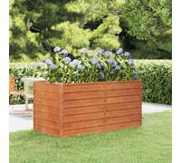 vidaXL Arriate oxidado de acero corten 160x80x77 cm