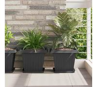 vidaXL Bandeja Cuadrada para Flores 24 uds. Negro 25,5 x 25,5 x 2,5 cm