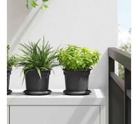 vidaXL Bandeja Redonda para Flores 6 pcs Negro Ø 14 x 2 cm Plástico