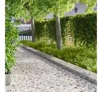 vidaXL Borde de Césped 20 pcs 100 x 18 cm Acero Plateado