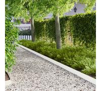 vidaXL Borde de Césped 20 pcs 103 x 15 cm metal Blanco