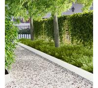 vidaXL Borde de Césped 30 pcs 103 x 20 cm metal Blanco