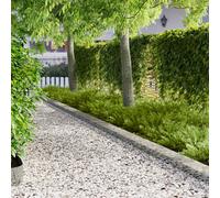 vidaXL Borde de Césped 30 pcs 103 x 20 cm metal Plateado