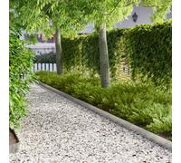 vidaXL Borde de Césped 50 pcs 103 x 15 cm metal Plateado