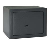 vidaXL Caja Fuerte con cerradura Gris oscuro 23 x 17 x 17 cm Acero