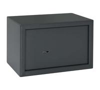 vidaXL Caja Fuerte con cerradura Gris oscuro 31 x 20 x 20 cm Acero