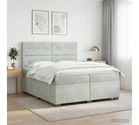 Cama con somier y colchón de la marca vidaXL, color gris claro, dimensiones 200 x 200 cm, tapizada en terciopelo