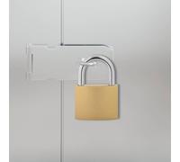 vidaXL Candado en U con llaves Latón 6 x 2 x 9,1 cm Hierro