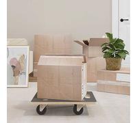 vidaXL Carritos de transporte 2 uds rectangular 50x35x11,5 cm 250 kg