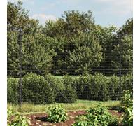vidaXL Cerca de alambre con pinchos de anclaje gris antracita 2,2x25 m