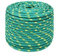 vidaXL Cuerda de Barco Polipropileno Verde 14 mm 50 m, Cuerda, Cuerda enrollada, cordón Trenzado, Cuerda Trenzada, Cuerda de Anclaje, Cuerda marítima