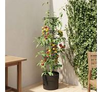vidaXL Cultivador de Tomates Negro Ø 32 x 127 cm PP