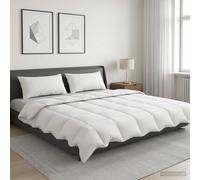 vidaXL Edredón FULDA 200 x 200 cm Verano 100 GSM 90% plumón de ganso