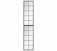 vidaXL Espejos de Pared 2 uds, Espejos Rectangulares Colgantes, Espejo de Maquillaje Vestidor, Decoración para Pasillo Baño, Metal Negro 100x40 cm