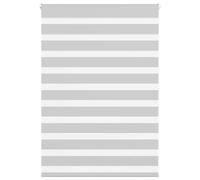 vidaXL Estor Cebra Gris Claro 100x100cm Tejido Ancho 95,9cm poliéster, Estor Doble, Estor Enrollable Cebra, Cortina Cebra, Estor Doble