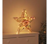 vidaXL Estrella 3D 50 LED cálido 55 x 52.5 x 9 cm PET