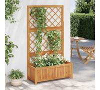 vidaXL: Jardín elevado con enrejado, 85x38x150 cm, madera maciza de acacia