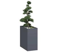 vidaXL Jardinera Acero Gris Antracita 40x80x80 cm, macetero, Soporte para Plantas, lecho Elevado, Soporte para jardineras, Bandeja para Plantas