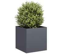 vidaXL Jardinera de Acero Laminado en frío Antracita 40x40x40 cm, macetero, Soporte para Plantas, lecho Elevado, Soporte para jardineras