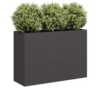 vidaXL Jardinera de Acero Laminado en frío Negro 120x40x80 cm