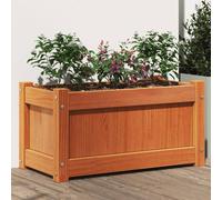 vidaXL Jardinera exterior madera maciza pino marrón cera 60x31x31 cm