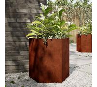 vidaXL Jardineras hexagonales 46x40x45 cm acero desgastado