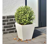 vidaXL Jardinera hexagonal acero blanca 30x30x30 cm