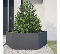 vidaXL Jardinera hexagonal acero gris antracita 138x120x45 cm para exterior