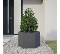 vidaXL Jardinera hexagonal de acero 69x60x45 cm gris antracita
