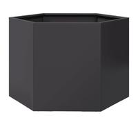 vidaXL Jardinera hexagonal de acero - Macetero exterior 69x60x45 cm Negra