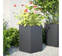 vidaXL Jardineras hexagonales 2 uds acero antracita 46x40x45 cm