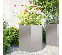 vidaXL Jardineras hexagonales 2 uds acero inoxidable 46x40x45 cm