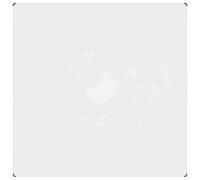 vidaXL Lona 350 gsm Transparente PVC Multitalle 2 x 2 m