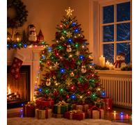 vidaXL Luces de Navidad con modo bicolor 1000 LED Multicolor 100 m