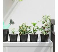 vidaXL Maceta Redonda para Flores 200 uds. Negro Ø 10 x 8 cm Plástico