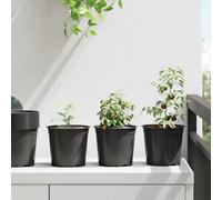 vidaXL Maceta Redonda para Flores 50 uds. Negro Ø 15 x 13 cm Plástico
