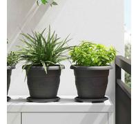 vidaXL Maceta Redonda para Flores 6 uds. Negro Ø 22 x 18 cm Plástico