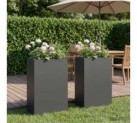 vidaXL Macetero de Jardín 2 uds. Gris Antracita 50 x 20 x 75 cm