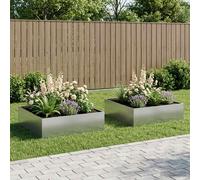 vidaXL Macetero de Jardín 2 uds. Plateado 100 x 100 x 30 cm