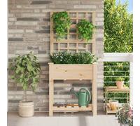 vidaXL Macetero de Jardín Beige 71 x 38 x 152 cm Madera de Pino Sólido