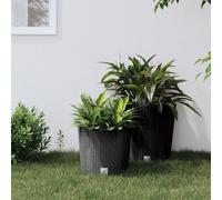 vidaXL Macetero interior extraíble PP ratán gris antracita 15/15,3 L