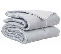 vidaXL Manta para cama de uso todo el año, 240 x 260 cm, 300 g/m², color plateado