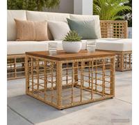 vidaXL Mesa de Jardín Natural 55 x 55 x 37 cm Rattan PE y Cristal