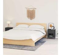 Vidaxl Mesitas de Noche 2 Unidades Acero y Vidrios 40x30x54,5 Cm Negro, Antracita Anthracite