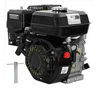 Motor De Gasolina Negro De 6,5 Hp Y 4,8 Kw Vidaxl