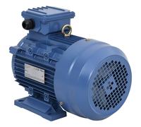 vidaXL Motor Eléctrico Trifásico Asíncrono Compresor Polipastos Cabrestantes Corriente Alterna Industrial Agrícola 4kW/5,5HP 2 Polos 2840 RPM